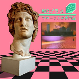 MACプラス – フローラルの専門店 VAPOR WAVE Pink Vinyl