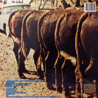 Nitty Gritty Dirt Band – Plain Dirt Fashion