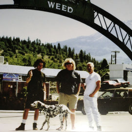 Sublime – 40oz. To Freedom