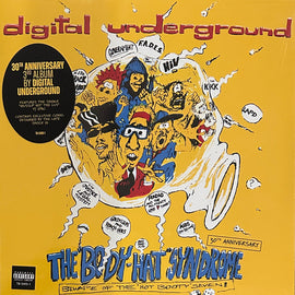 Digital Underground – The "Body-Hat" Syndrome RSD