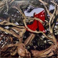 Hannah Frances - Nested In Tangles