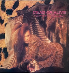 Dead Or Alive – Sophisticated Boom Boom