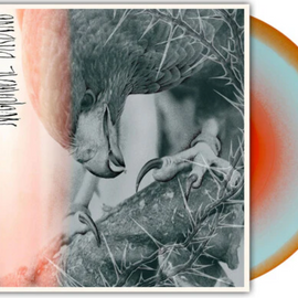 Author & Punisher – Nocturnal Birding (1st Press Marble!)
