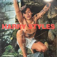 Harry Styles - Cast Away (Rare Unreleased Recordings) COLOR
