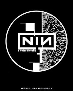 NIN & PETER MURPHY! – Where Darkness Doubles (Color) SUPER vinyl record