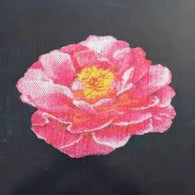 Post Malone- Tribute To Nirvana (ft Travis Barker) RARE