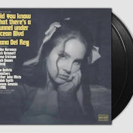 Lana Del Rey – Did you know that there’s a tunnel under Ocean Blvd (2xLP)