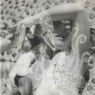 Bjork - Vespertine