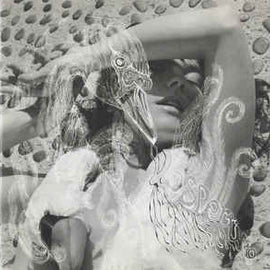 Bjork - Vespertine